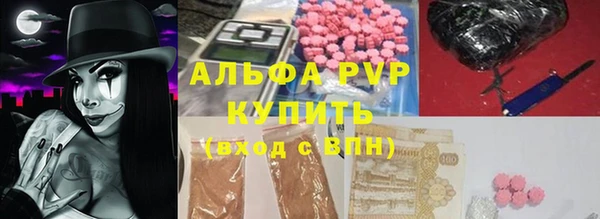 молекула духа Каменногорск